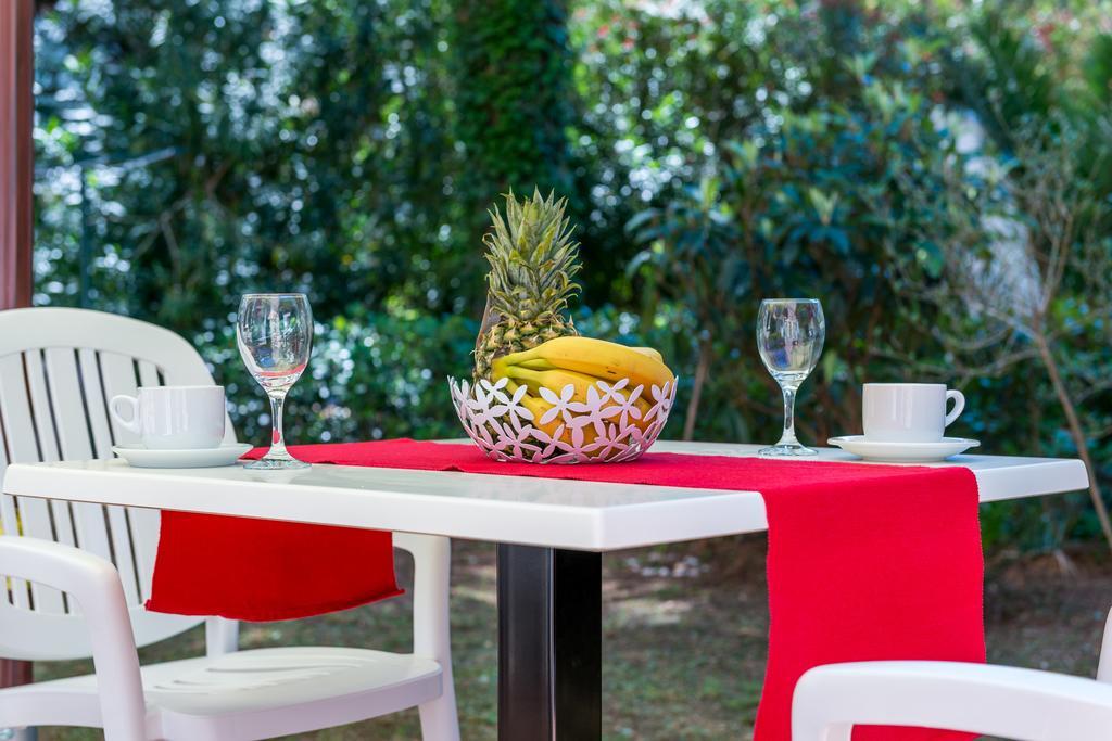 דוברובניק Avenue Apartment חדר תמונה