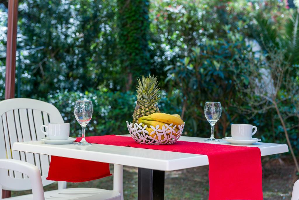 דוברובניק Avenue Apartment חדר תמונה